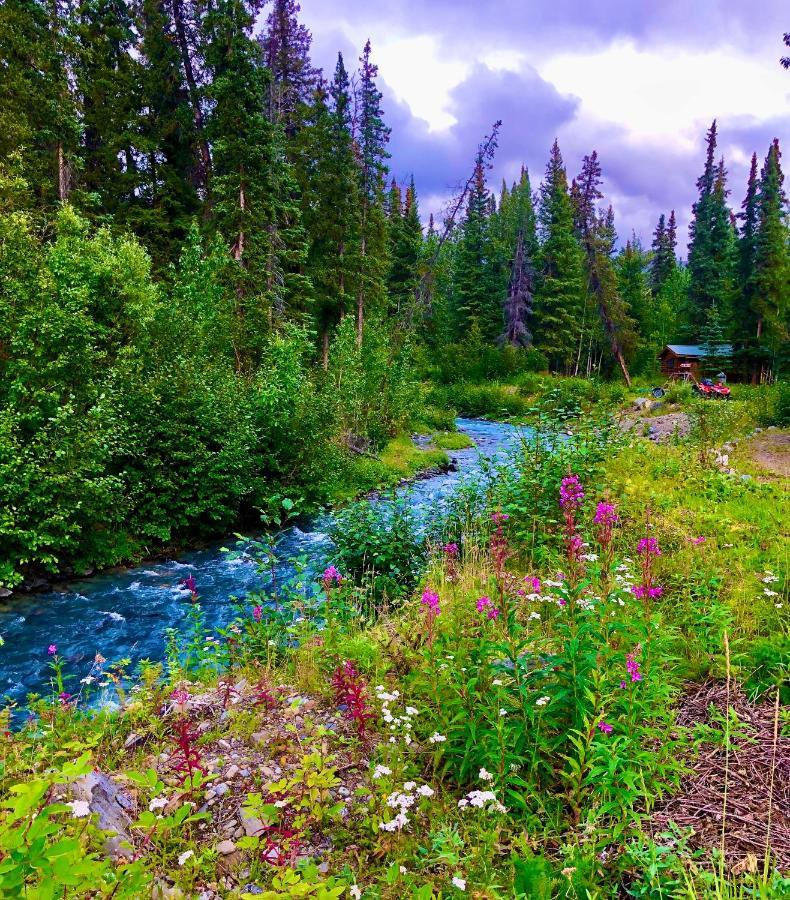 Carlo Creek Cabins Denali Park Dış mekan fotoğraf