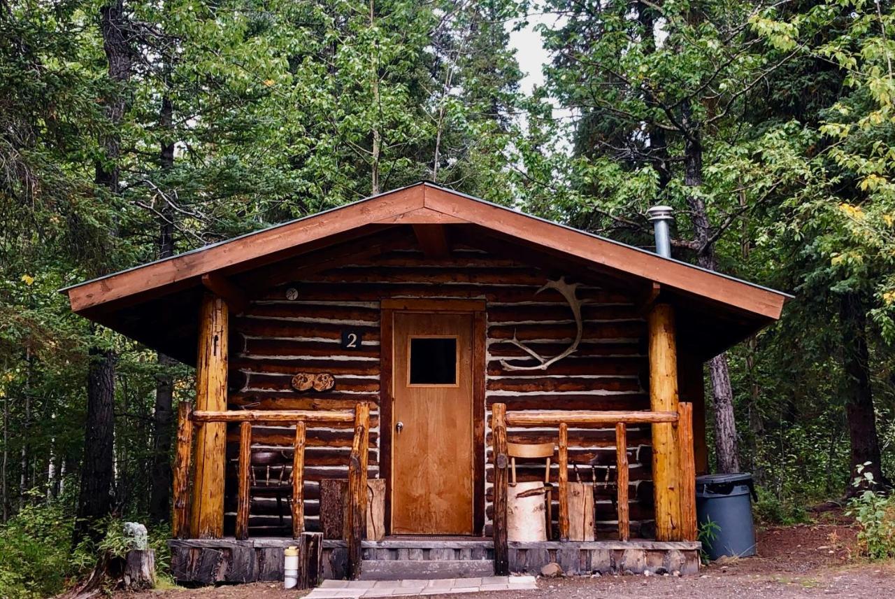 Carlo Creek Cabins Denali Park Dış mekan fotoğraf