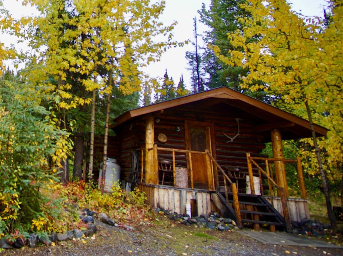 Carlo Creek Cabins Denali Park Dış mekan fotoğraf