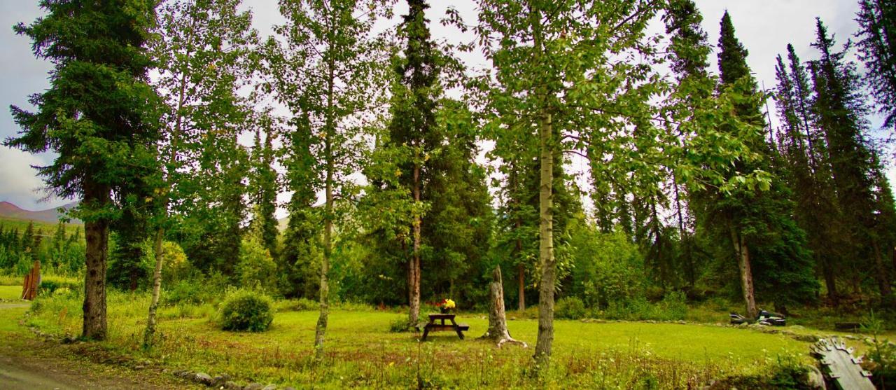 Carlo Creek Cabins Denali Park Dış mekan fotoğraf