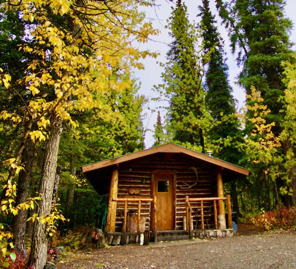 Carlo Creek Cabins Denali Park Dış mekan fotoğraf
