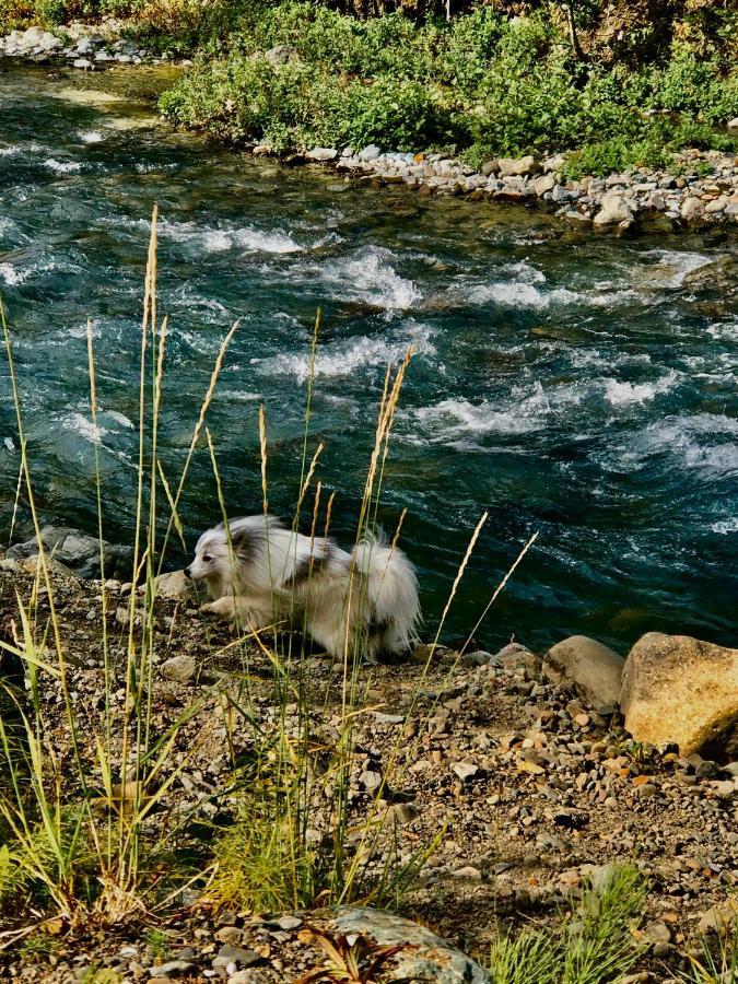 Carlo Creek Cabins Denali Park Dış mekan fotoğraf