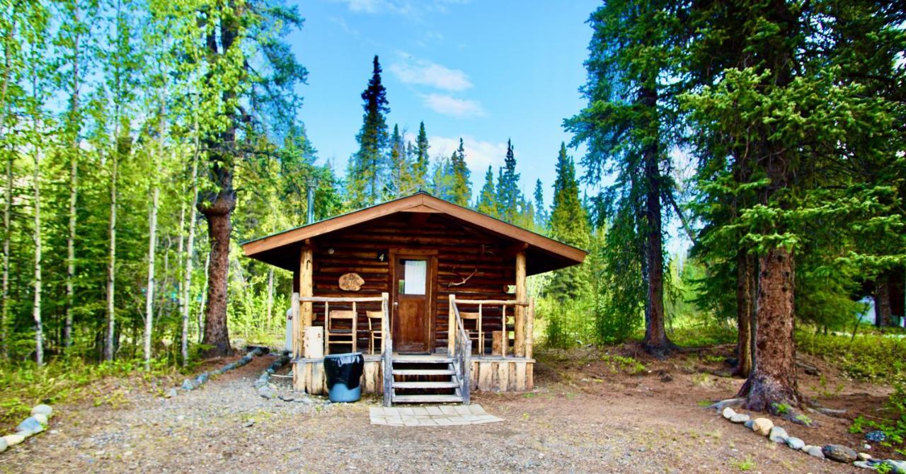Carlo Creek Cabins Denali Park Dış mekan fotoğraf