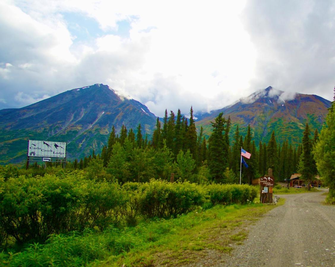Carlo Creek Cabins Denali Park Dış mekan fotoğraf