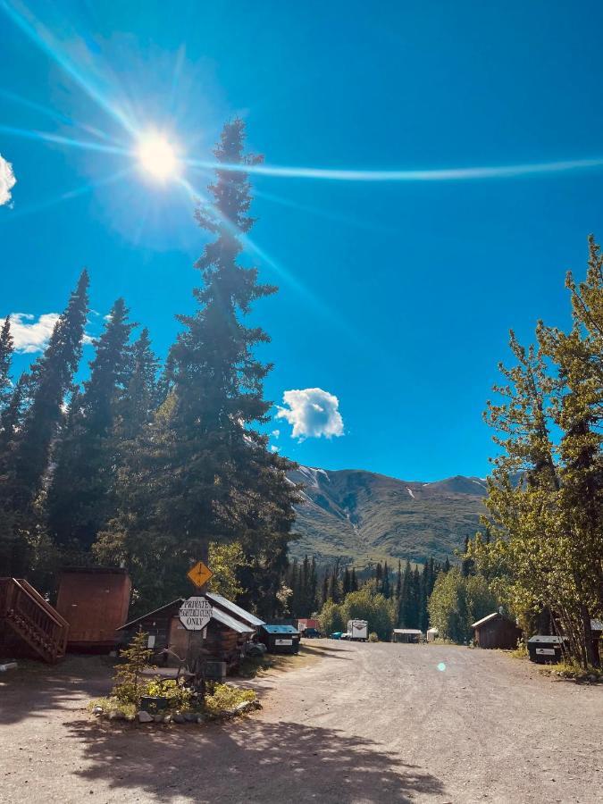 Carlo Creek Cabins Denali Park Dış mekan fotoğraf