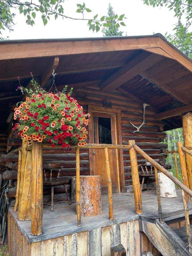 Carlo Creek Cabins Denali Park Dış mekan fotoğraf