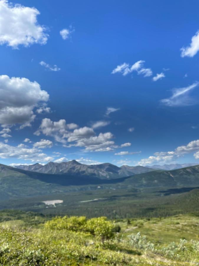 Carlo Creek Cabins Denali Park Dış mekan fotoğraf