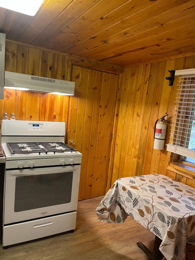 Carlo Creek Cabins Denali Park Dış mekan fotoğraf