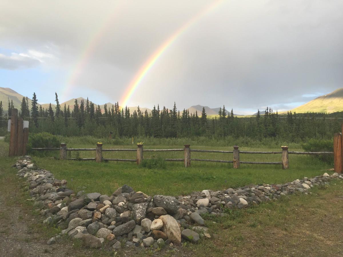 Carlo Creek Cabins Denali Park Dış mekan fotoğraf