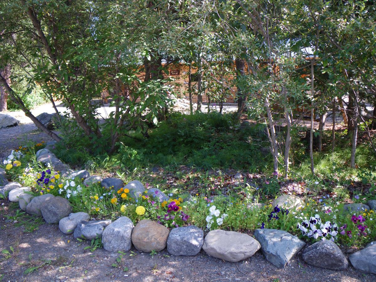 Carlo Creek Cabins Denali Park Dış mekan fotoğraf