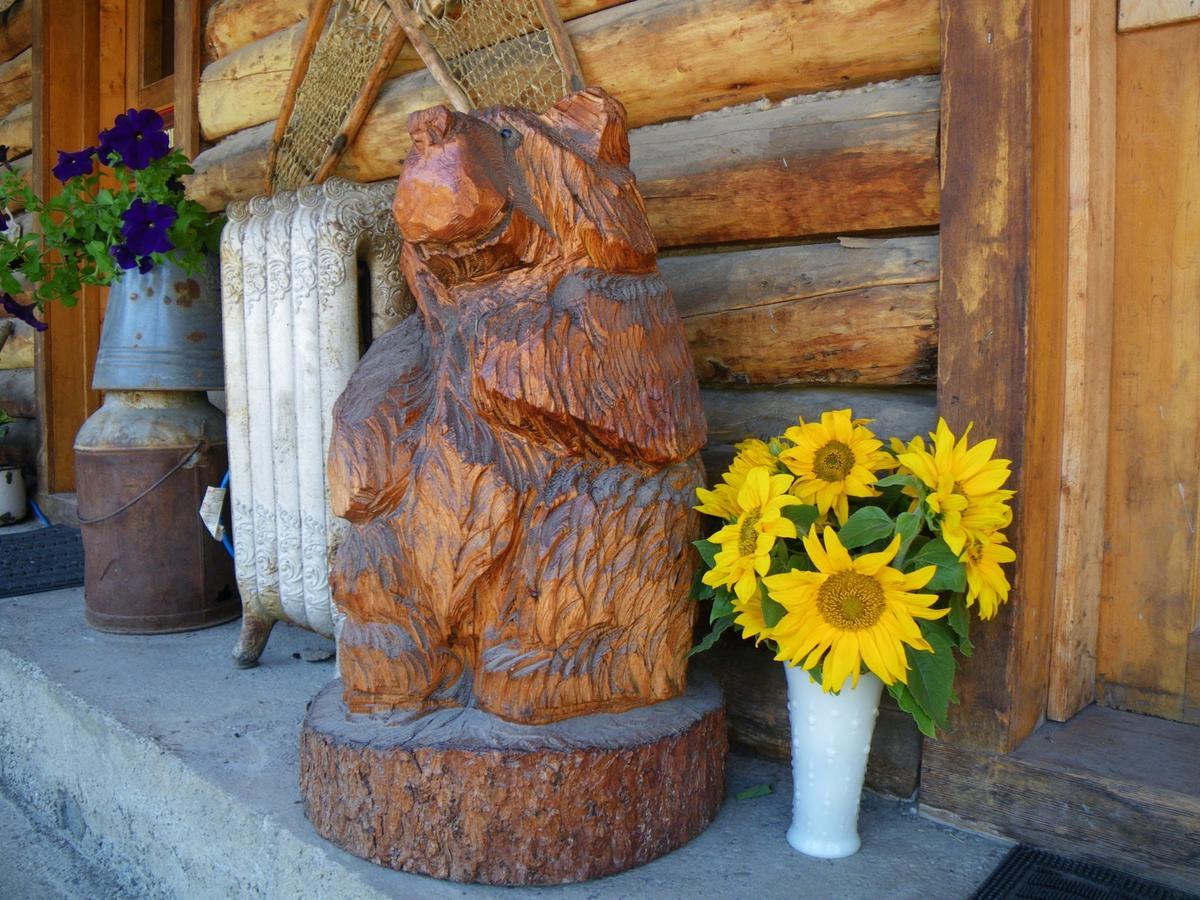 Carlo Creek Cabins Denali Park Dış mekan fotoğraf